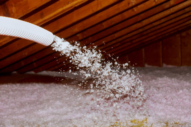 Best Insulation Repair Services  in Woodsi East, DE