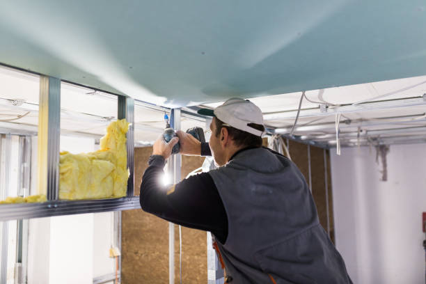 Best Insulation Inspection Services  in Woodsi East, DE