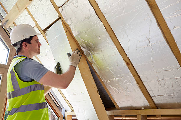 Best Garage Insulation Installation  in Woodsi East, DE